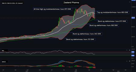 ZEAL.CO